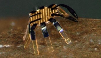 The world's smallest remote-controlled robots are the size of a flea