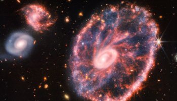 Stellar gymnastics in the Cartwheel Galaxy captured by Webb Space Telescope