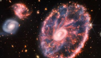 An image from the Webb telescope shows a rare type of Cartwheel galaxy