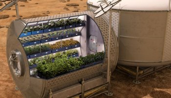 The herb is the secret to growing vegetables on Mars